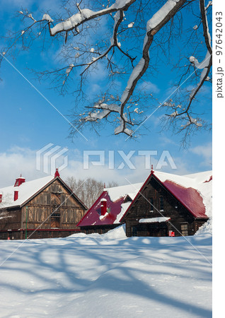 雪と青空と札幌農学校第2農場_5588 97642043