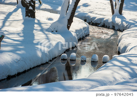 北大構内（雪中のサクシュコトニ川）_5494 97642045