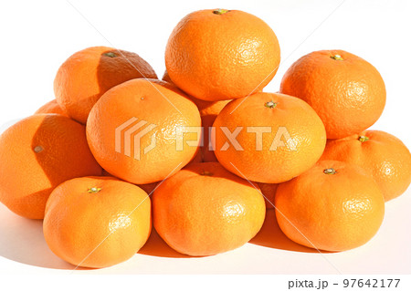 みかん（南柑20号） 97642177