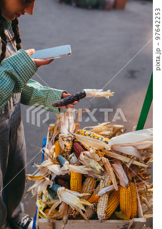 Young woman takes a photo of a corn cob at the market Young woman takes a photo of a corn cob at the market 97642253