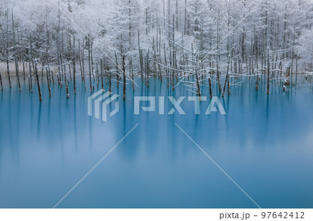 【北海道美瑛町】雪化粧の青い池 97642412