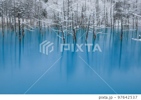【北海道美瑛町】雪化粧の青い池 【北海道美瑛町】雪化粧の青い池 97642537