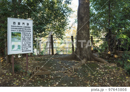 滝の城跡本丸の四脚門跡と説明板【県指定史跡】／埼玉県所沢市・滝の城址公園 97643808