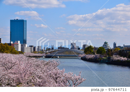 桜景　大阪　大川沿い 97644711