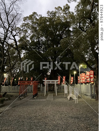 信太森葛葉稲荷神社 97644923