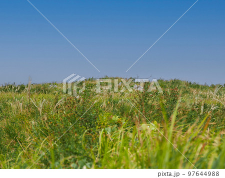 秋吉台の景色 97644988