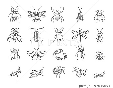 Line insects. Bug icons. Beetle and caterpillar. Outline pest symbols. Cricket and mosquito. Little animal. Crawling ant. Winged butterfly and dragonfly. Plant bee. Vector stroke garish pictograms set Line insects. Bug icons. Beetle and caterpillar. Outline pest symbols. Cricket and mosquito. Little animal. Crawling ant. Winged butterfly and dragonfly. Plant bee. Vector stroke garish pictograms set 97645654