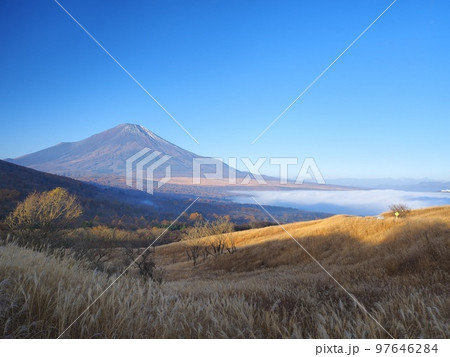 山梨県　富士とすすきヶ原と霧の山中湖　11月 97646284
