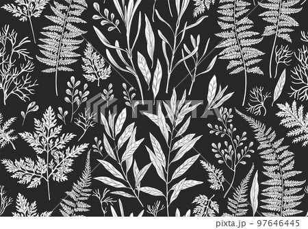 Botanical Illustration. Seamless Pattern.のイラスト素材 [97646445] - PIXTA