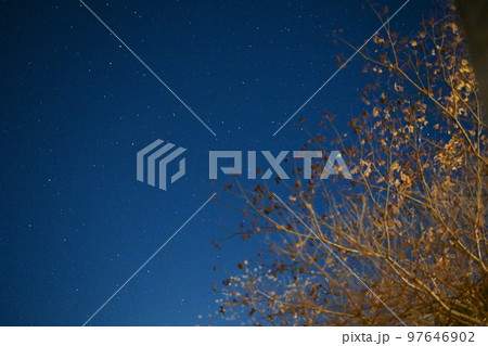 星空 97646902