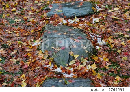 お寺の境内に薄っすら雪が積もる 97646914