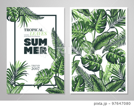 Tropical palm leaves background. 97647080