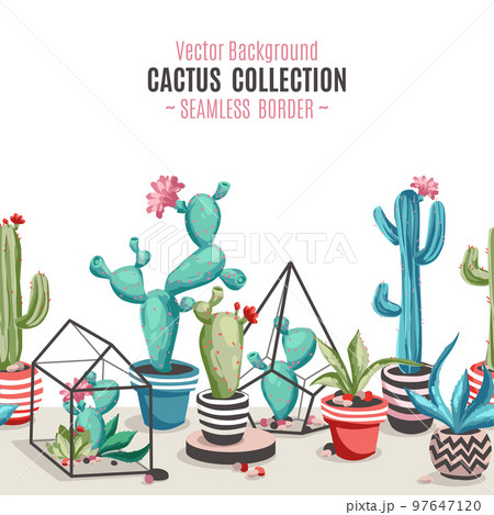 Cacti flower seamless border. 97647120