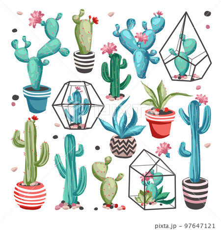 Cacti flower set. 97647121