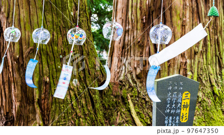 パワースポットで有名な小国両神社「杉の巨樹（三神杉）と風鈴風景」小国町 97647350