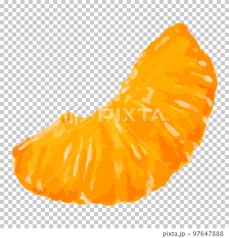 切橙的水彩插圖 97647888