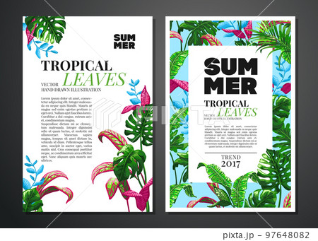 Tropical palm leaves background. Tropical palm leaves background. 97648082