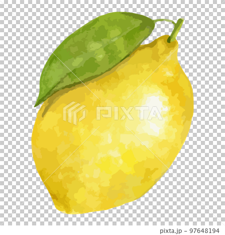 新鮮なレモンの水彩風イラスト 97648194