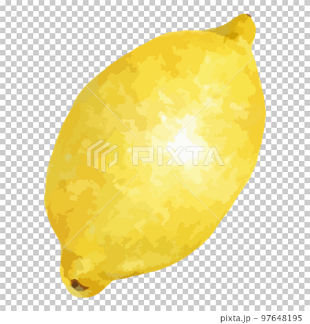 新鮮なレモンの水彩風イラスト 97648195