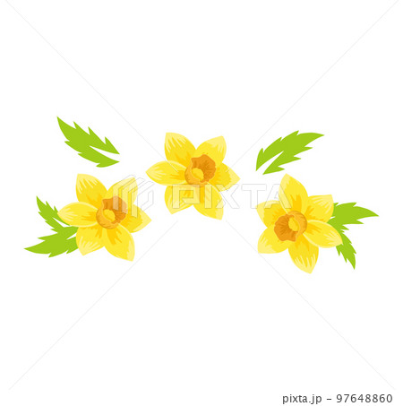 Flower label design, vintage template decoration vector illustration. Symbol for business shop, icon element collection with graphic leaf. Flower label design, vintage template decoration vector illustration. Symbol for business shop, icon element collection with graphic leaf. 97648860