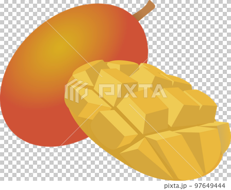 mango  97649444
