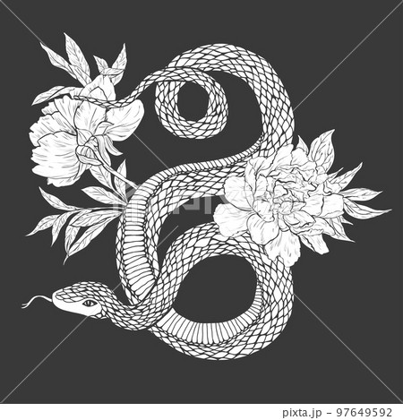 Snake and flowers by Dogma Noir  Tattoogridnet