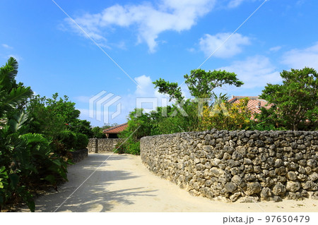 竹富島　赤瓦屋根の家々 97650479