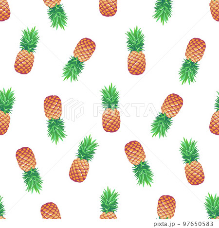 Tropical vector illustration. 97650583