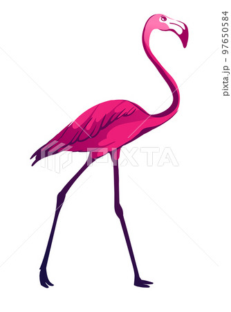 Tropical vector illustration. Tropical vector illustration. 97650584