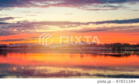 View of Rosslyn, Arlington, Virginia, USA from the tidal basin in Washington DC During Spring Season 97651384