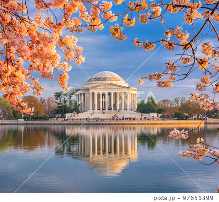 Washington, DC at the Tidal Basin and Jefferson Memorial 97651399