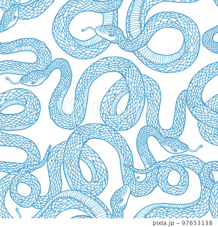 Pattern with snakes. 97653138
