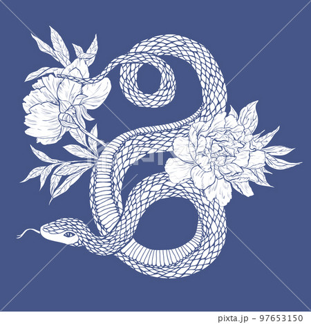 Snake and flowers. 97653150