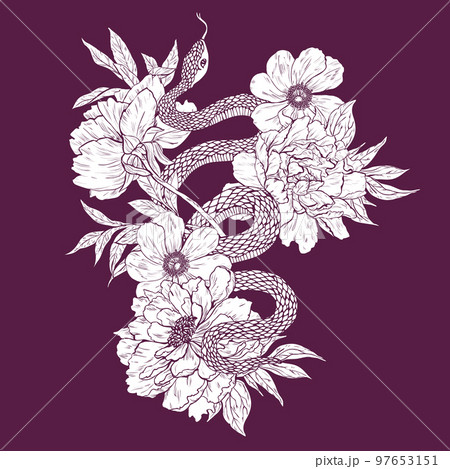 Snake and flowers. 97653151