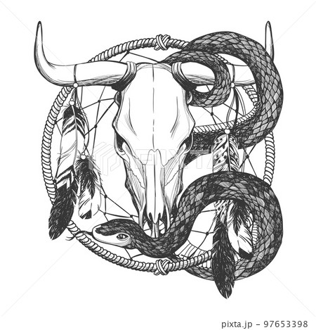 Bull skull with feathers, snake and dreamcatcher. 97653398