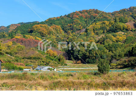 2022年11月25日 紅葉の山の辺の道 中山町休憩所から中山不動明王祠方面 大和青垣国定公園 2022年11月25日 紅葉の山の辺の道 中山町休憩所から中山不動明王祠方面 大和青垣国定公園 97653863