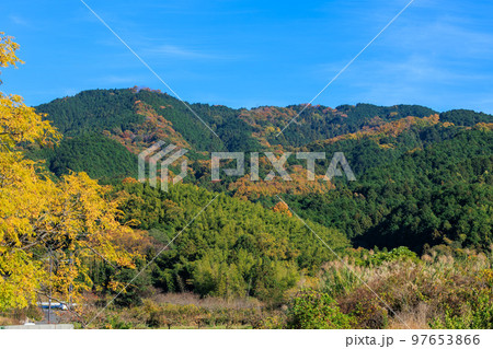 2022年11月25日 紅葉の山の辺の道 龍王山 大和青垣国定公園 97653866