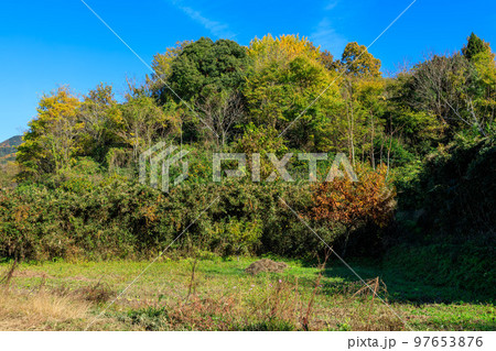 2022年11月25日 紅葉の山の辺の道 立子塚古墳とみかん 大和青垣国定公園 97653876