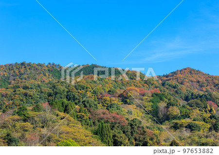 2022年11月25日 紅葉の山の辺の道 大字穴師 穴師山 大和青垣国定公園 97653882
