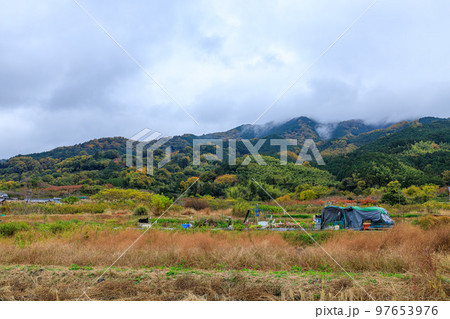 2022年11月21日 山の辺の道 雲かかる龍王山と紅葉 大和青垣国定公園 2022年11月21日 山の辺の道 雲かかる龍王山と紅葉 大和青垣国定公園 97653976