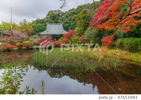 2022年11月21日 山の辺の道 紅葉 長岳寺本堂と放生池 大和青垣国定公園 97653983