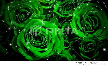 バラの背景にキラキラがふりそそぐ画像 バラの背景にキラキラがふりそそぐ画像 97653990