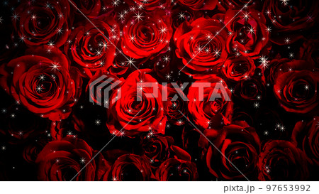 バラの背景にキラキラがふりそそぐ画像 97653992