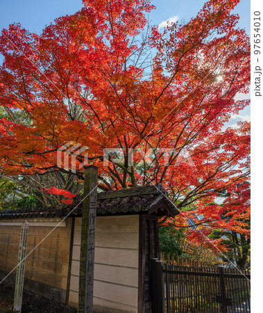 2022年11月16日 奈良 菩提院の紅葉 傳説三作石子詰之旧跡 97654010