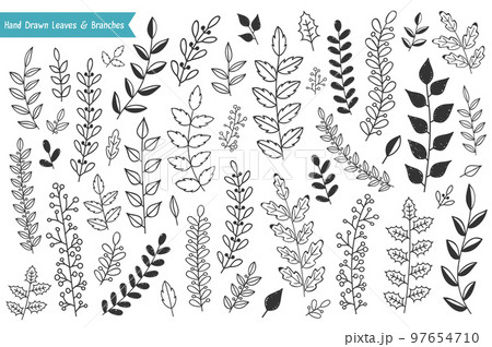 Hand Drawn Leaves and Branches Hand Drawn Leaves and Branches 97654710