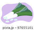 green onion, vector icon, onion batun 97655101