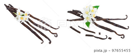 Vanilla sticks with flower isolated on white background. Top view. Flat lay Vanilla sticks with flower isolated on white background. Top view. Flat lay 97655455