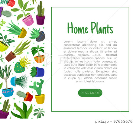 Houseplant Design with Plants Growing in Ceramic Pots Vector Template 97655676