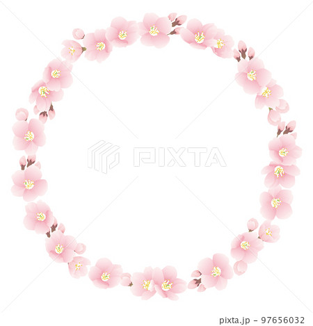ソメイヨシノ　桜　花　フレーム素材 97656032