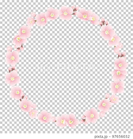 ソメイヨシノ　桜　花　フレーム素材 97656032